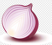 Drawing of am onion cut to show its
layers