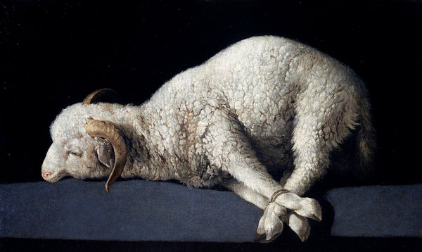 painting of sacrificial lamb lying on side with feet tied