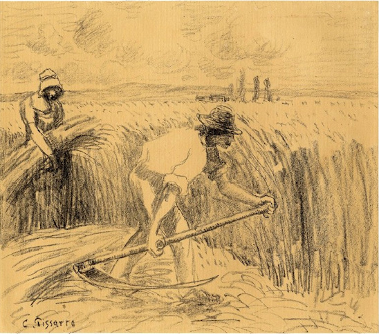 man and woman harvesting a wheat field