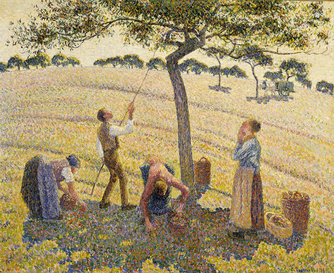 Three people harvesting apples from a tree. Two knocking them down with a pole; two picking up apples and putting them in containers.