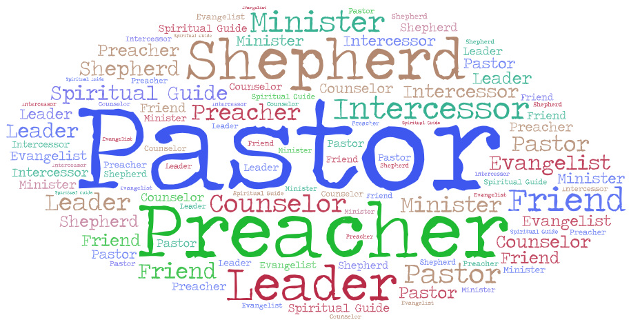 word cloud of synonyms for the word pastor