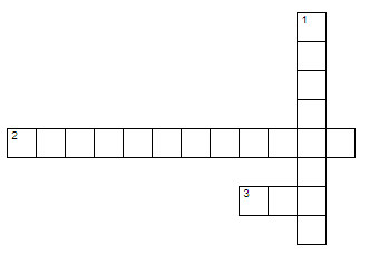 crossword puzzle grid