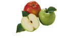 Drawing of ripe apples
