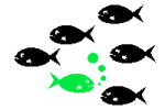 drawing of fish all headed the same way
except for one going the opposite way