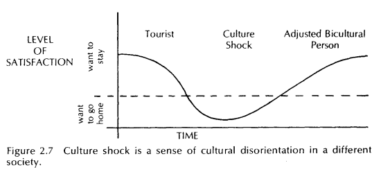 diagram of phases of
culture shock